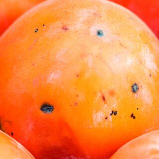 んoon - Orange