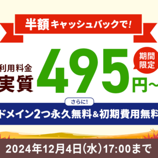 12ヶ月以上の契約で、利用料金の半額をキャッシュバック！