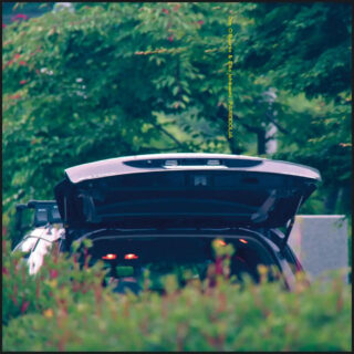 Eiko Ishibashi and Jim O'Rourke - Pareidolia