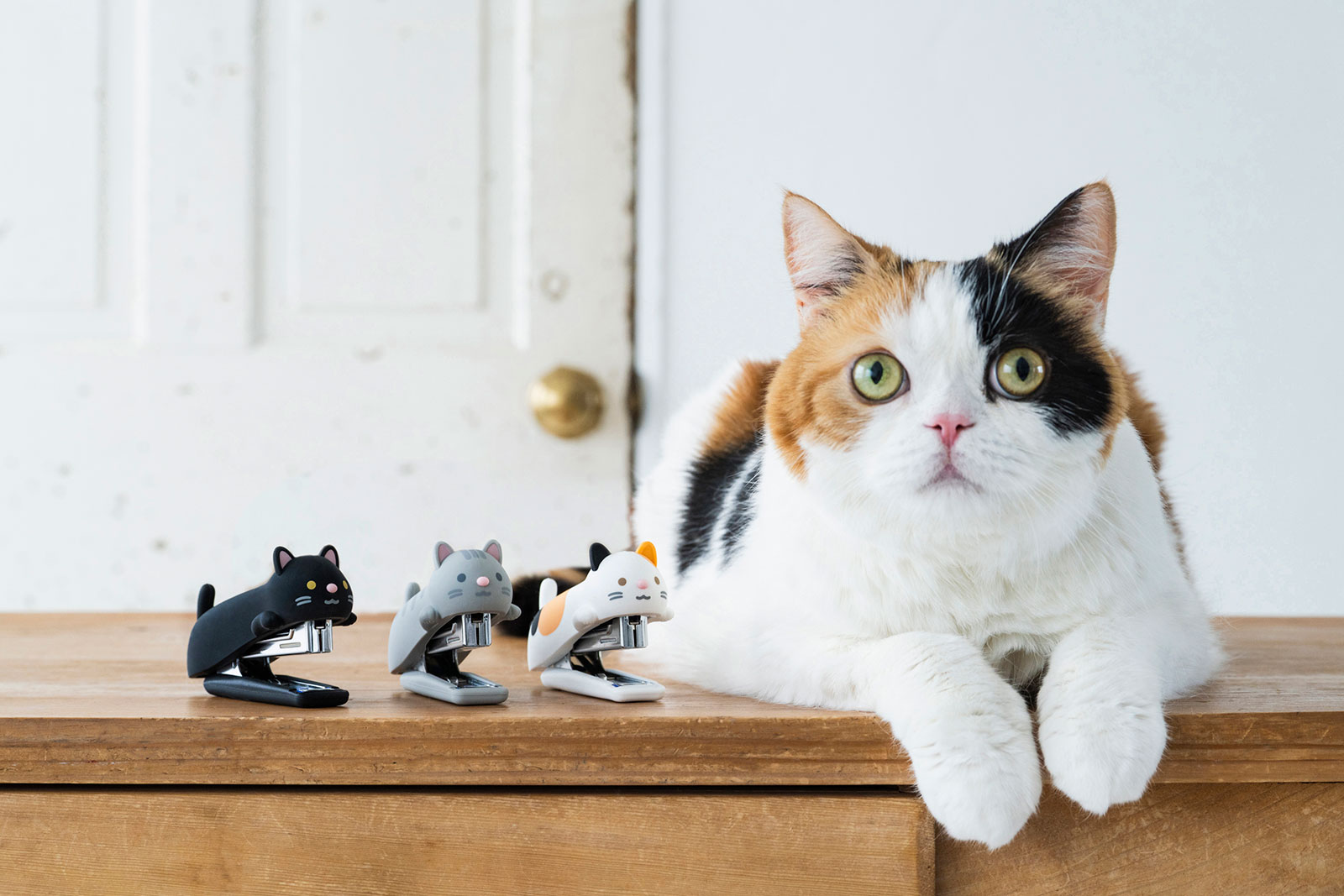 シリコンカバーホッチキス“ねこ” &猫
