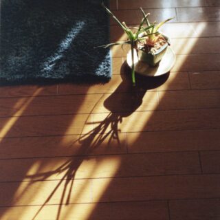 ルルルルズ - symp.