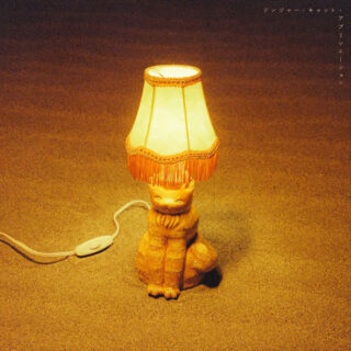 猫戦 - ジンジャー・キャット・アプリシエーション