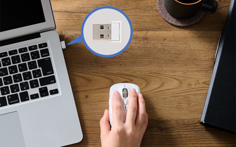 1台は付属のレシーバーを使って2.4GHz無線接続が可能