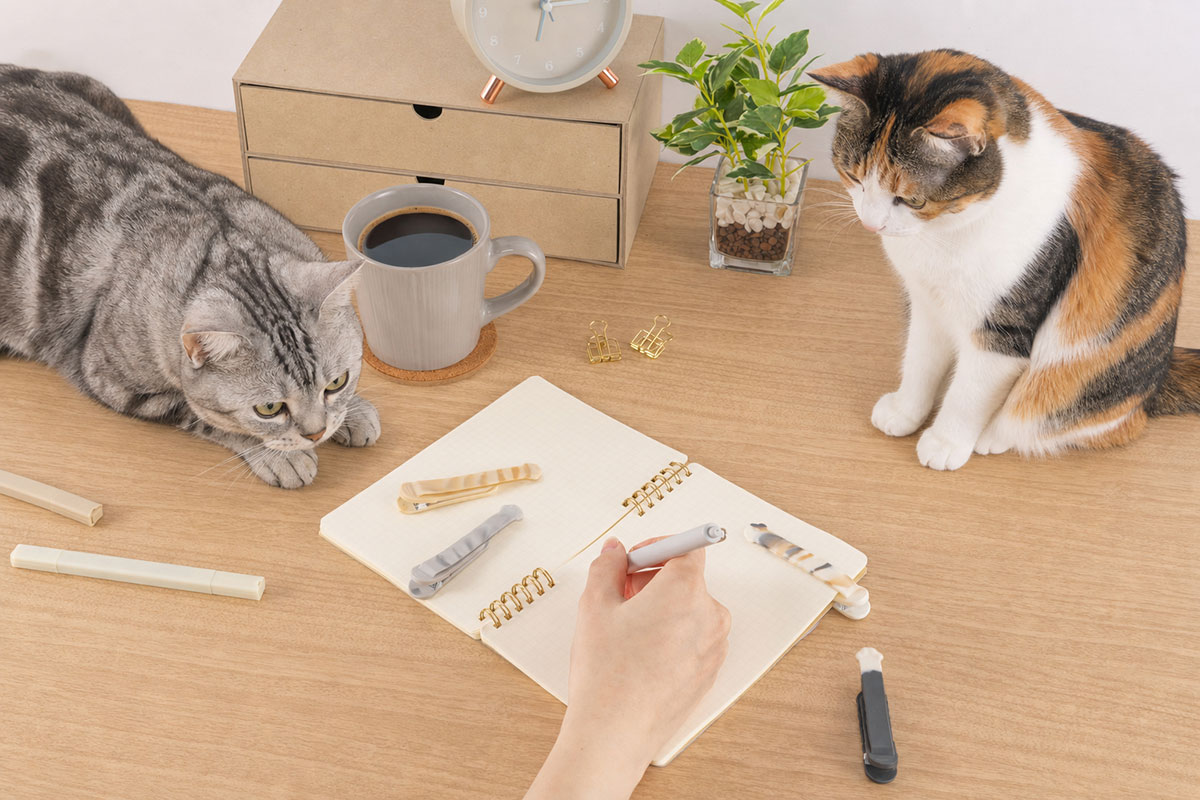 第2弾は猫好きにはたまらない「猫の手」をモチーフ